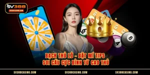 Bạch Thủ Lô - Bật Mí Tips Soi Cầu Cực Đỉnh Từ Cao Thủ