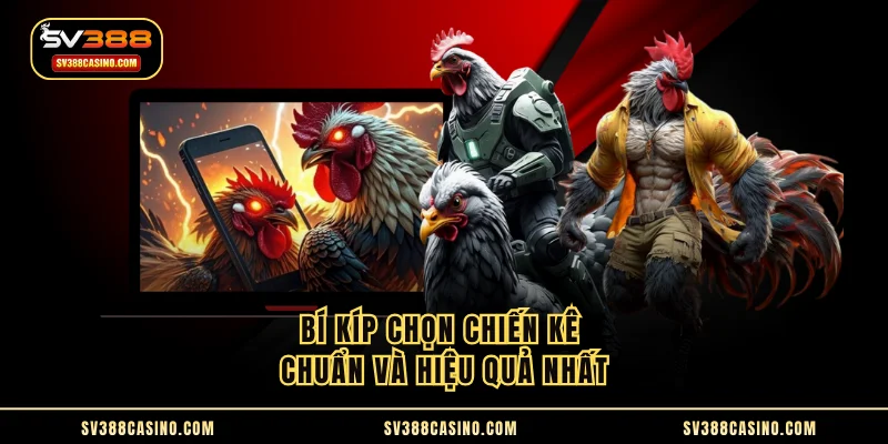 Đá Gà Tre - Chi Tiết Luật Chuẩn Từ Đấu Trường Chuyên Nghiệp 3 Bí kíp chọn chiến kê chuẩn và hiệu quả nhất