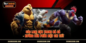 Các Loại Cựa Trong Đá Gà - Hướng Dẫn Phân Biệt Chi Tiết