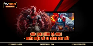 Các Loại Hình Gà Chọi - Nhân Diện Và So Sánh Chi Tiết