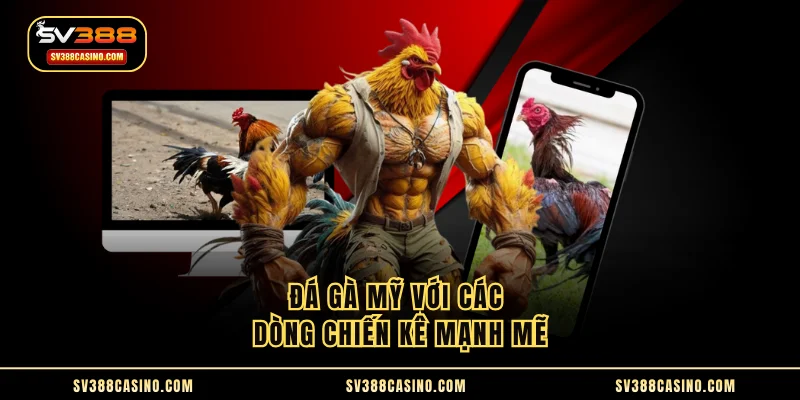 Đá Gà Mỹ - Loại Hình Song Đấu Chiến Kê Hấp Dẫn Hàng Đầu 1 Đá gà Mỹ với các dòng chiến kê mạnh mẽ