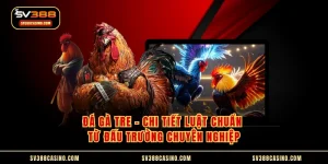 Đá Gà Tre - Chi Tiết Luật Chuẩn Từ Đấu Trường Chuyên Nghiệp