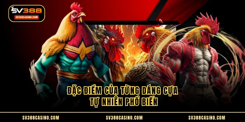 Các Loại Cựa Trong Đá Gà - Hướng Dẫn Phân Biệt Chi Tiết 2 Đặc điểm của từng dáng cựa tự nhiên phổ biến