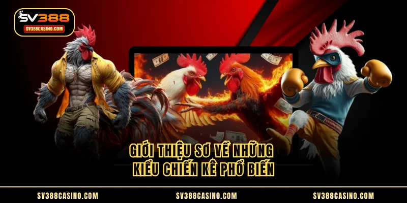 Các Loại Hình Gà Chọi - Nhân Diện Và So Sánh Chi Tiết 1 Giới thiệu sơ về những kiểu chiến kê phổ biến