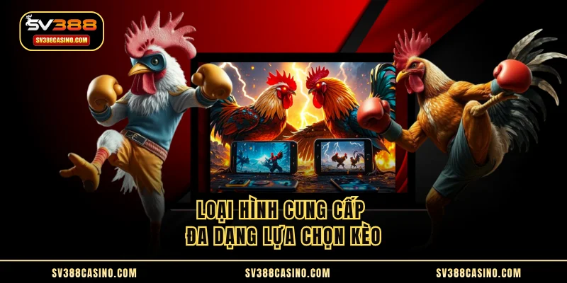 Đá Gà Thái Lan - Sôi Động Trên Sàn Đấu Cùng Chiến Kê 2 Loại hình cung cấp đa dạng lựa chọn kèo