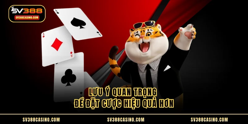 Cái Long Bảo - Hướng Dẫn Cách Chơi Cực Dễ Tại SV388 3 Lưu ý quan trọng để đặt cược hiệu quả hơn