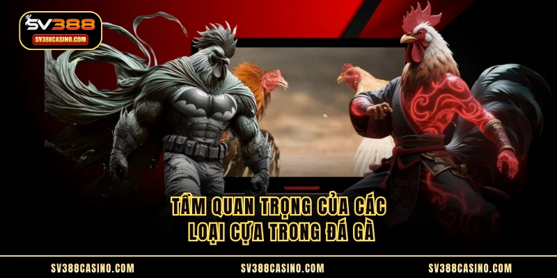 Các Loại Cựa Trong Đá Gà - Hướng Dẫn Phân Biệt Chi Tiết 1 Tầm quan trọng của các loại cựa trong đá gà